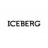 Iceberg (3)