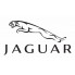 Jaguar (11)